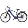 MS ENERGY električno biciklo eBike c11 veličina L